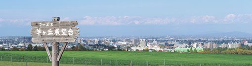 北海道や札幌市・函館市・旭川市に多い業種や職種