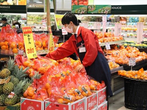 三和　ららぽーと豊洲店
