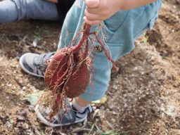 社会福祉法人　子の神福祉会