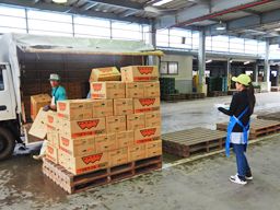 JA川上そ菜販売