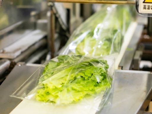 株式会社和郷　カット野菜工場