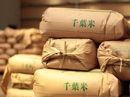現場作業員募集開始