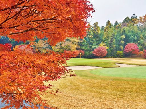 泉カントリー倶楽部