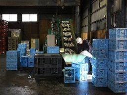 株式会社　ホソヤ