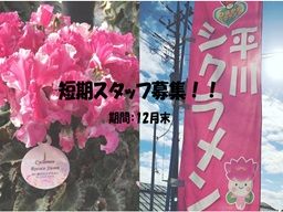 現場作業員募集開始