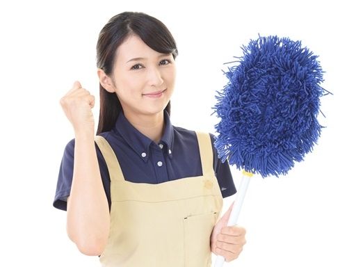 有限会社ひな