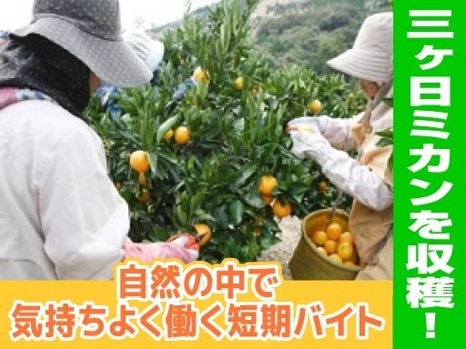 ＪＡみっかびアグリワーク　(無料職業紹介所)