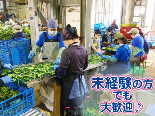 現場作業員募集開始