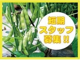 現場作業員募集開始