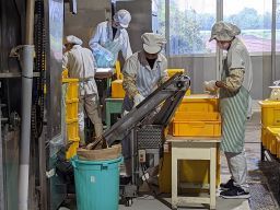現場作業員募集開始