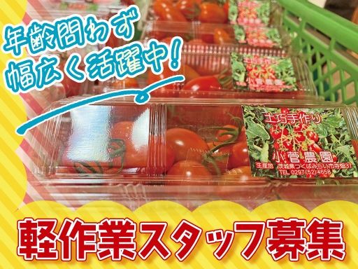 小菅農園