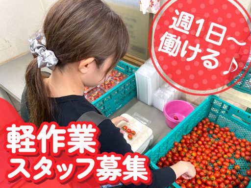 現場作業員募集開始