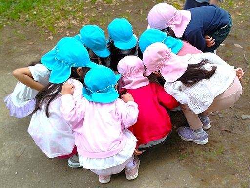 社会福祉法人　ピスティスの会