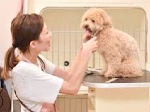 楽しくやりがいを持って働けるお仕事です♪