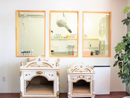 好きを仕事に☆子育て中のママさんも活躍中