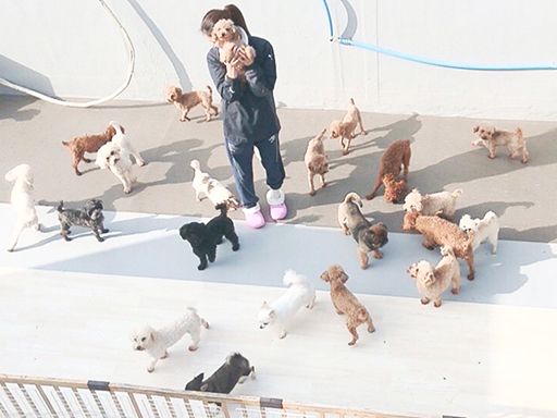 楽しくやりがいを持って働けるお仕事です♪