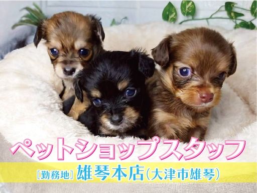 WIYNペット 雄琴本店