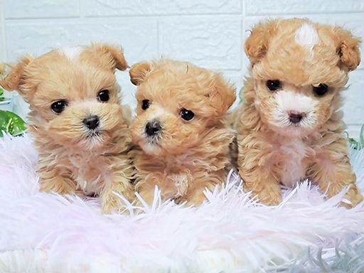働きやすい職場環境が整っております★