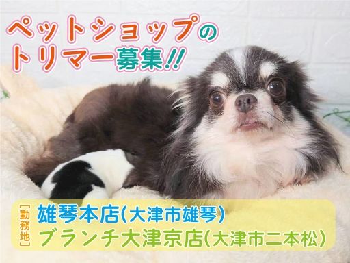 WIYNペット 雄琴本店・ブランチ大津京店