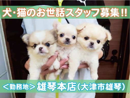 WIYNペット 雄琴本店