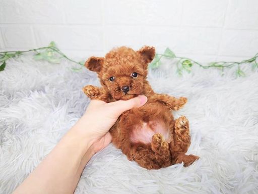 楽しくやりがいを持って働けるお仕事です♪