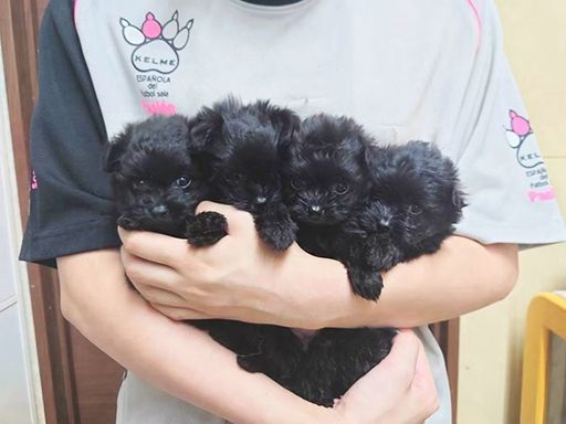 働きやすい職場環境が整っております★