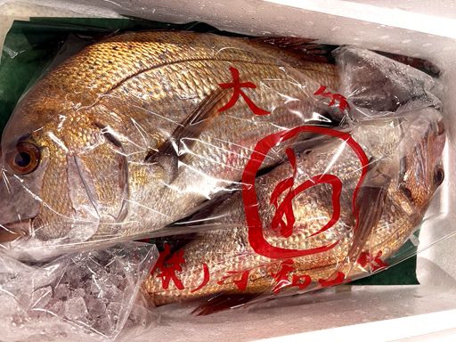 ※画像はイメージです。