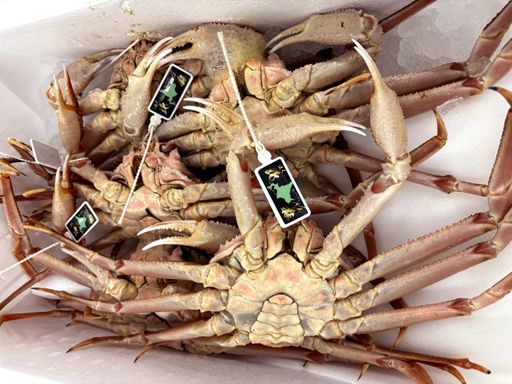 ※画像はイメージです。