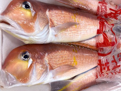 ※画像はイメージです。