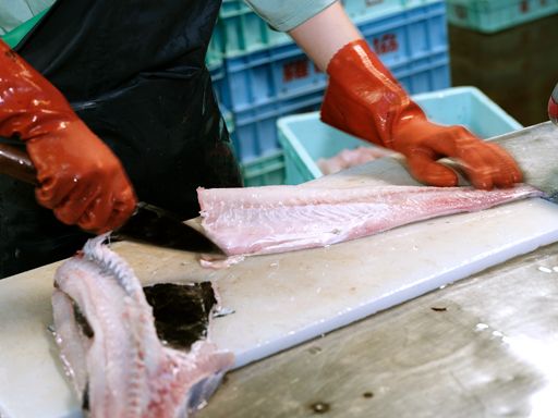 ※画像はイメージです。