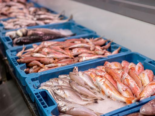 ※画像はイメージです。