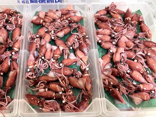 ※画像はイメージです。