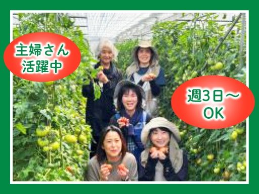 株式会社 サンファーム富士山