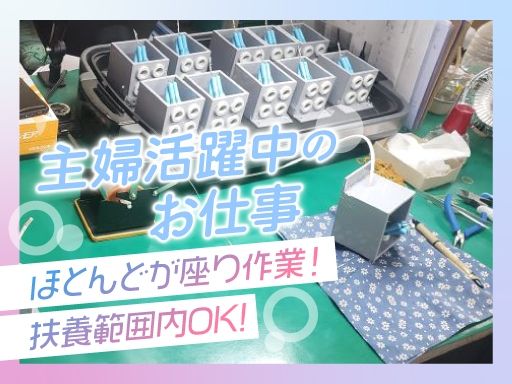 株式会社わかさ