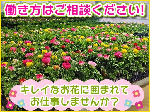 現場作業員募集開始