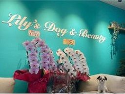 株式会社　M‘sコーポレーション