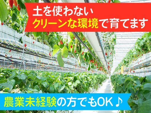 磐南ファーム　株式会社