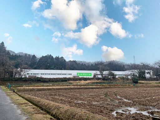 株式会社野菜工房　福井南越前工場