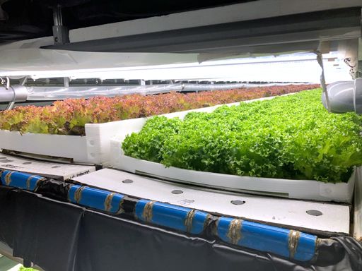 株式会社野菜工房　福井南越前工場