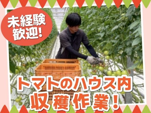 松本トマト農園
