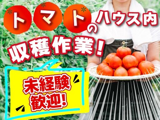 現場作業員募集開始
