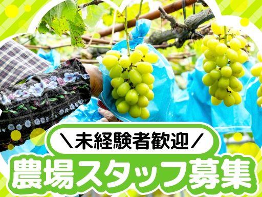 SSファーム