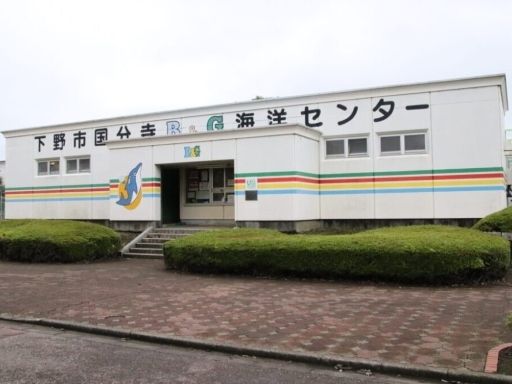 下野市国分寺B&G海洋センタープール